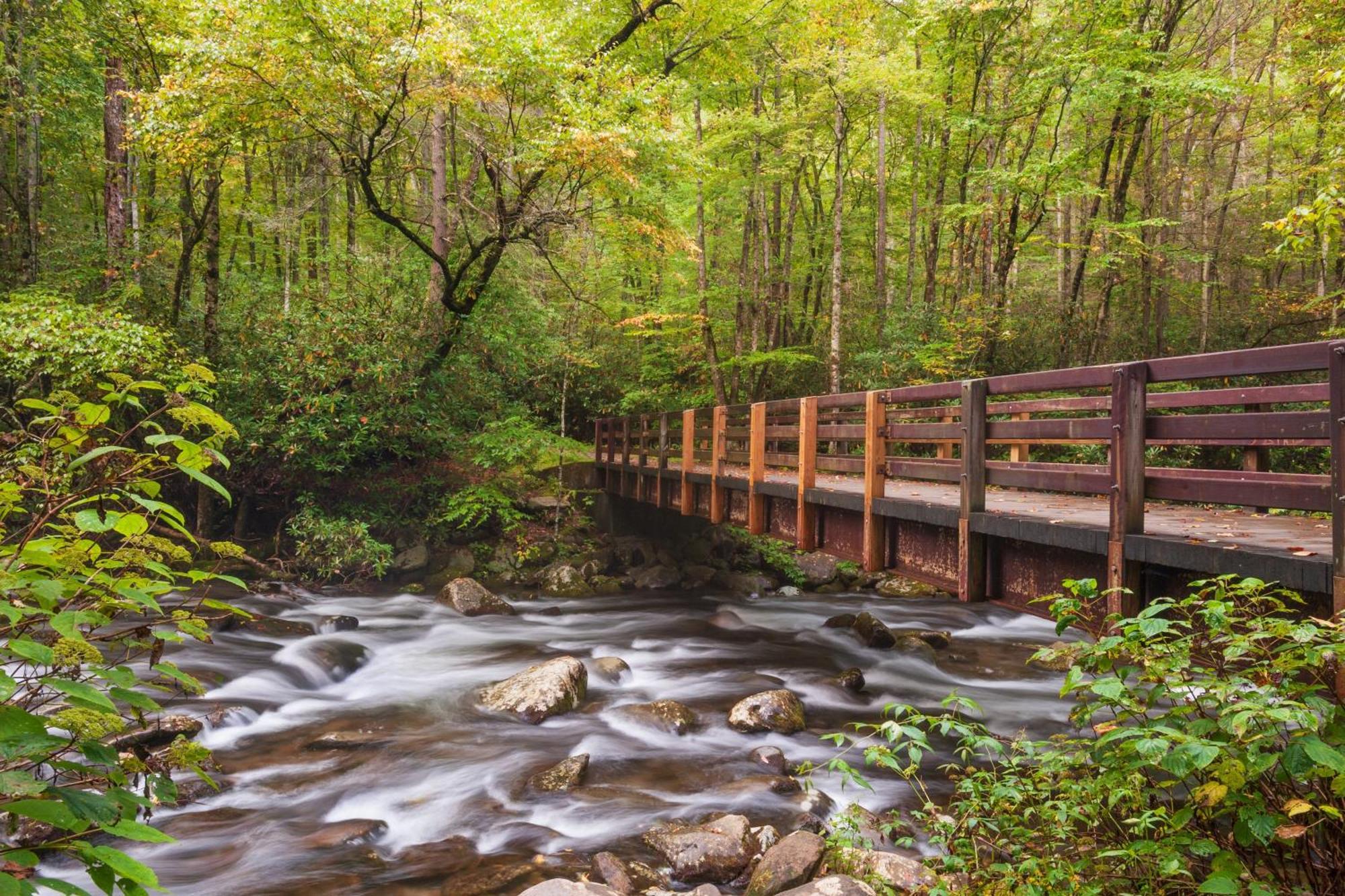 Mountain Eden, Hot Tub, Resort Pool, Wifi, 1089 Free Tickets Each Paid Day, Dollywood And More Gatlinburg Buitenkant foto